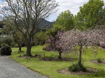 Sun-Filled Elegance by the Golf Course