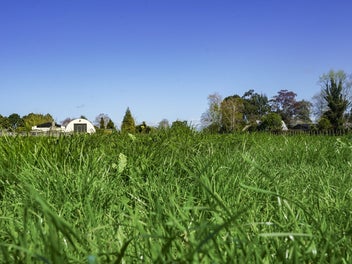 Waihou's hidden gem – endless possibilities