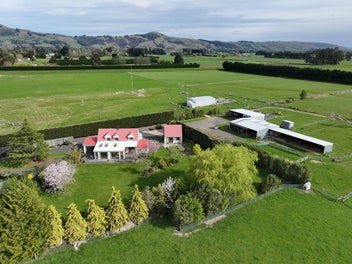 Larger Lifestyle Plus Location