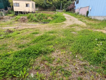 Commercial blank canvas