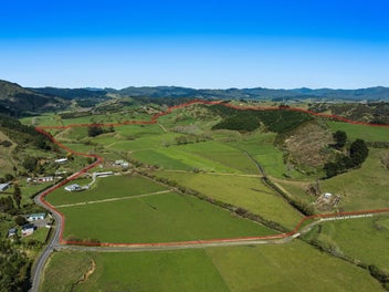 Image 1 of 20
