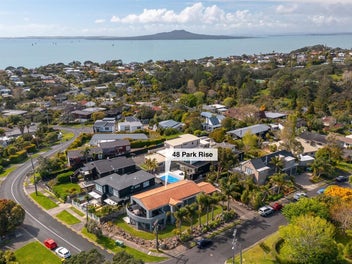 Multiple Options - Attn Developers, Renovators!