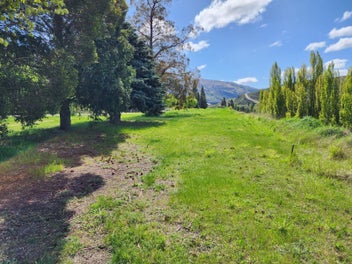 Clyde Lifestyle Opportunity