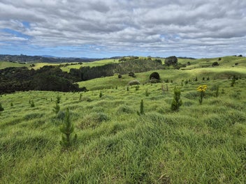 Image 1 of 6