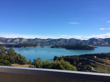 Image 1 of 16