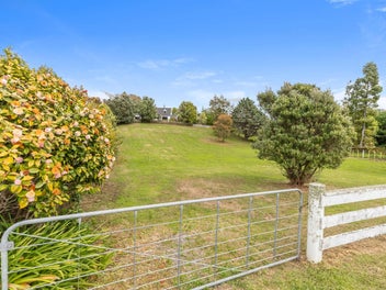 Image 1 of 12