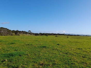 Image 1 of 22