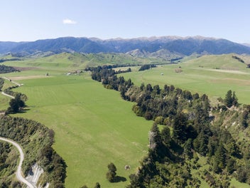 Image 1 of 30