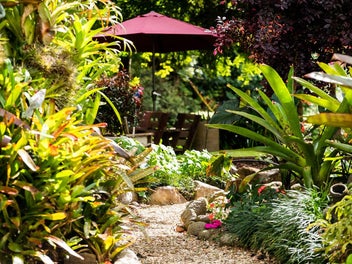 Tropical Hideaway