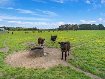 Discover Your Dream Rural Retreat!