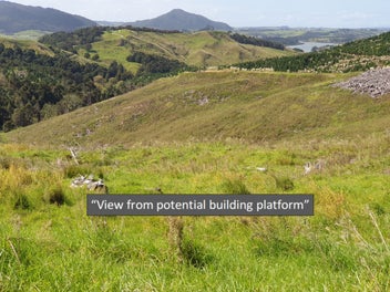 Views Meet Value: Premium Pine Block