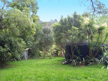 Image 1 of 19