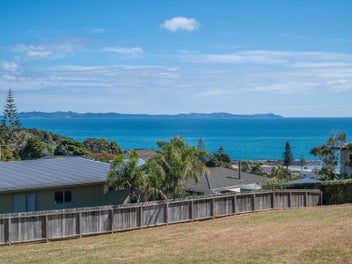 Image 1 of 13