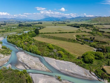 Vendors expectations reflect market conditions