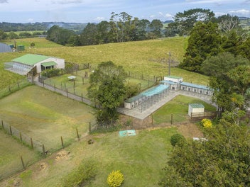 Image 1 of 38