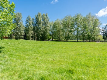 Image 1 of 44
