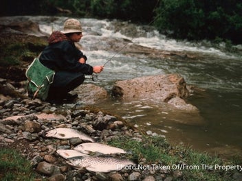 The Brown Trout House - Riverside