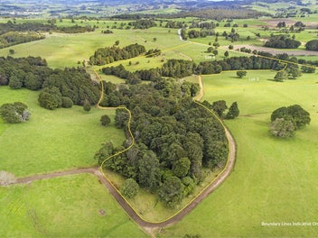 Image 1 of 20