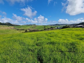 Water View Lifestyle Stunner