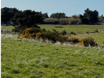 6009sqm Invercargill Township