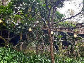 Exquisite Island bush bach