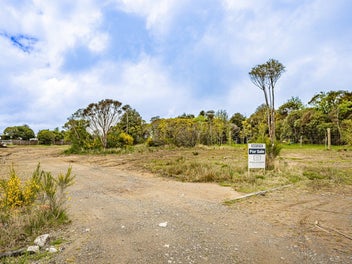 Image 1 of 17