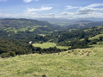 Image 1 of 20