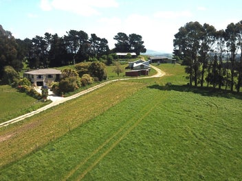 Image 1 of 25