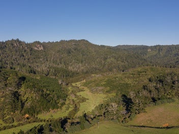 Image 1 of 13