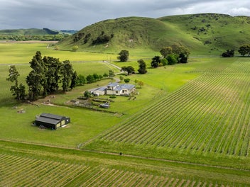 Cottingham Estate: a vineyard oasis and investment