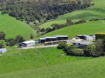 Image 1 of 31