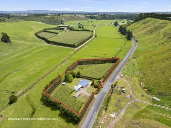 Prime investment - home with red kiwifruit income