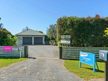 Home + Business - Golden Retriever Homestay