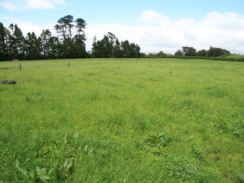 Image 1 of 23