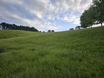 Image 1 of 10