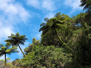 West Coast Rural Lifestyle Awaits!