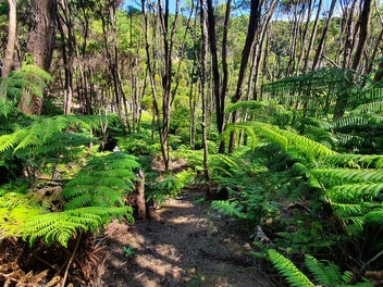 URGENT SALE - OWNERS OVERSEAS & WANT THIS SOLD!