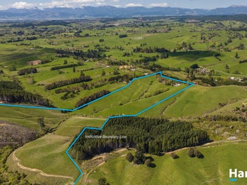 Live Your Rural Dream - Must Sell!