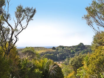 Untouched bush block near the Pakiri Coast