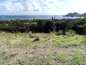 Image 1 of 23