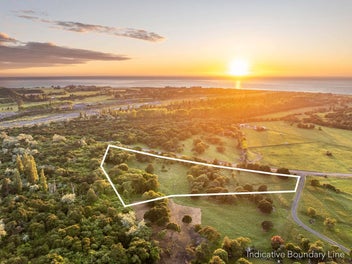 A Haven For Nature Lovers