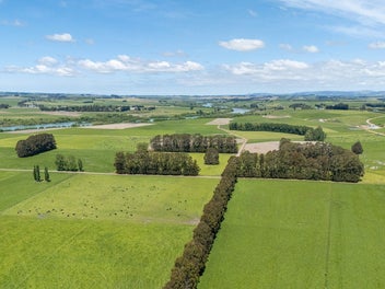 Image 1 of 36