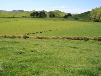 Image 1 of 36