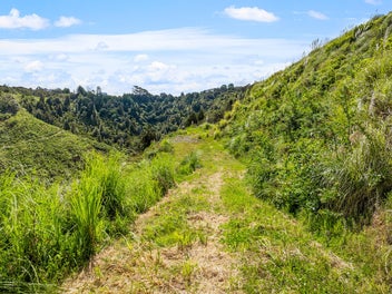 Dream Big: Puhoi Hilltop Haven