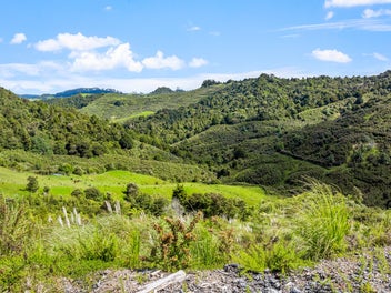 Dream Big: Puhoi Hilltop Haven