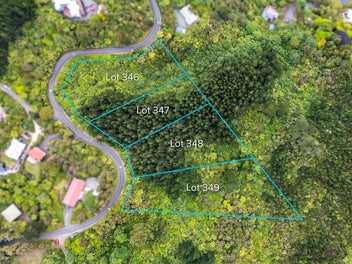Go Bush! Native Bush Clad Section BEO $135,000