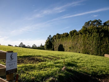 Quiet, Calm, Tranquil - Streamside Estate Sections