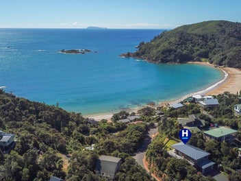 Little Bay Stunner