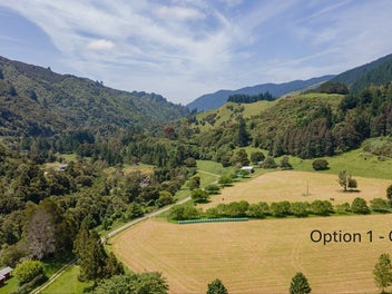 Grazing land with established orchard