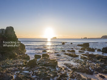 WELCOMES YOU... SUNNY & LEVEL... POWHIRI